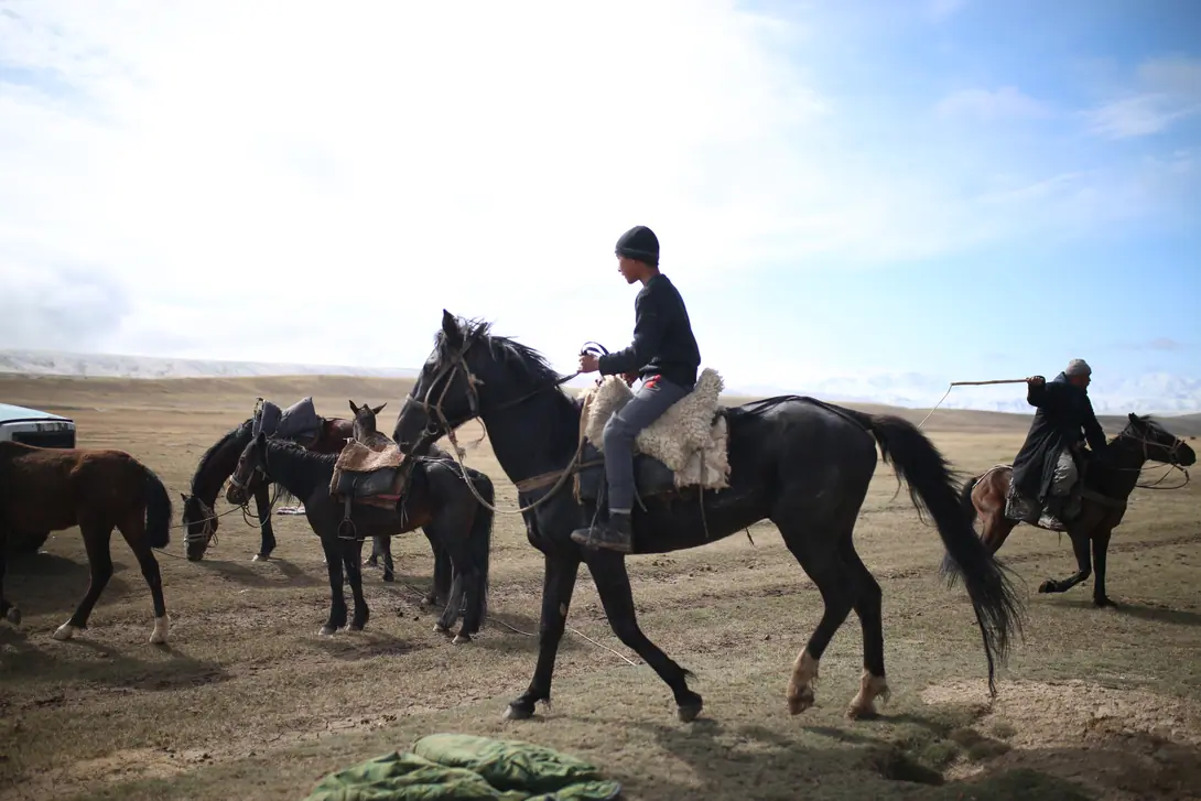 Rider