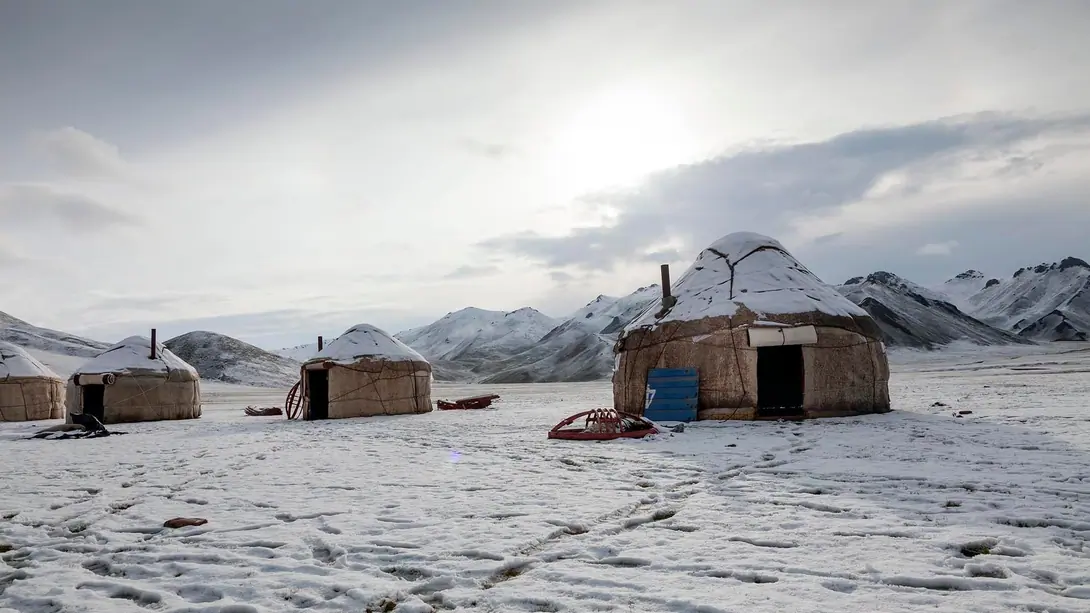 Meder's Yurt
