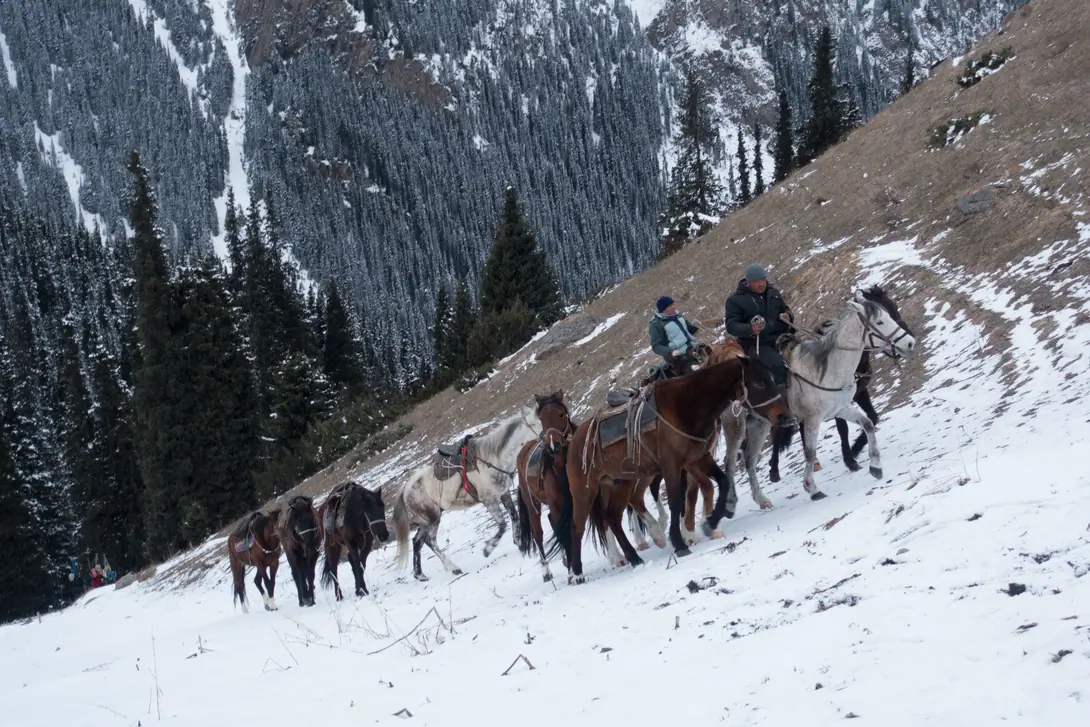 Ski Touring in the Karakol Gorge 