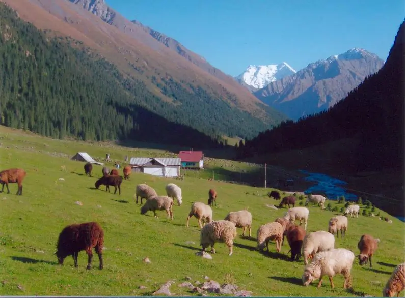 Altyn Arashan valley