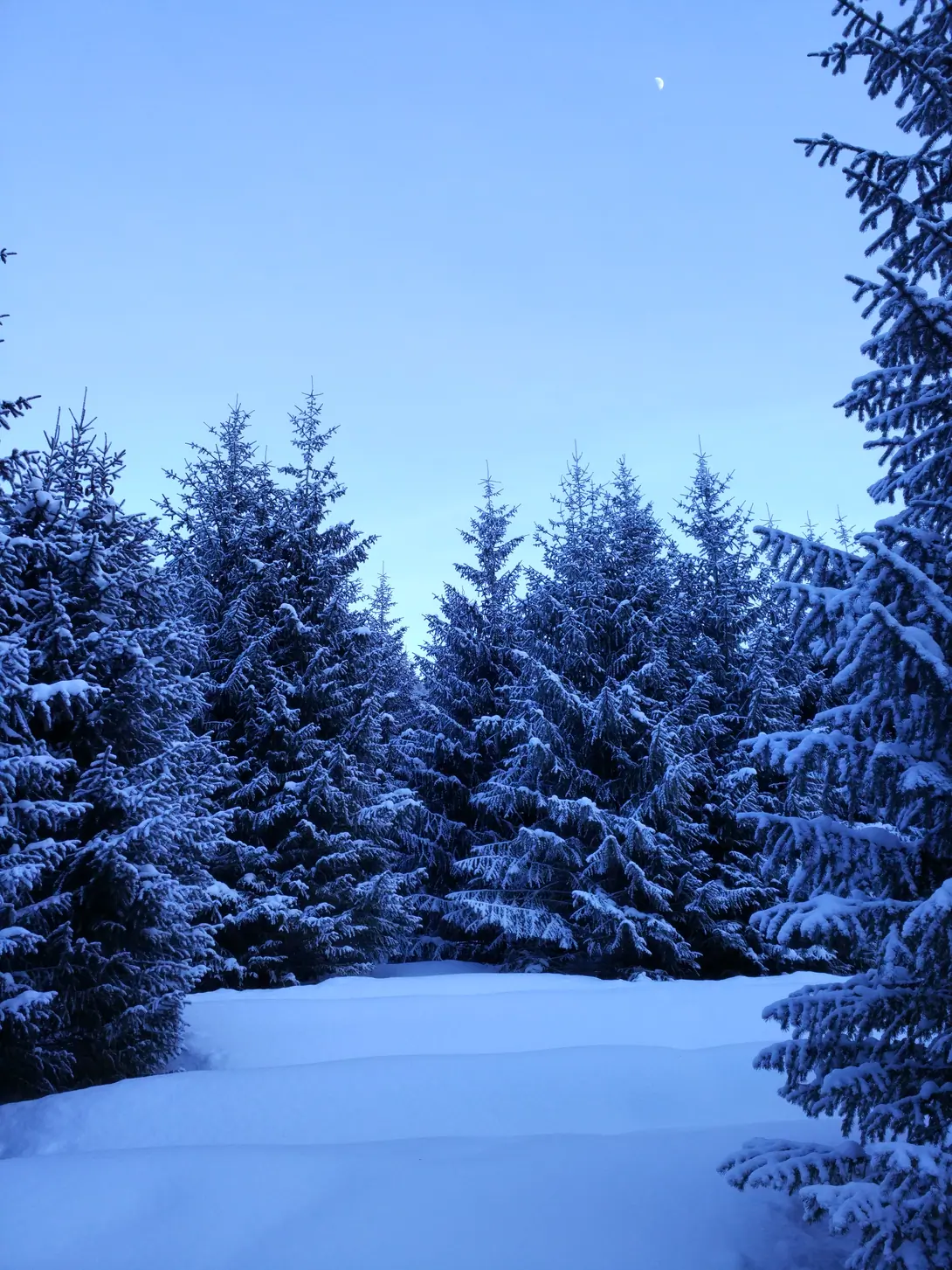 Snowshoeing in Kyrgyzstan
