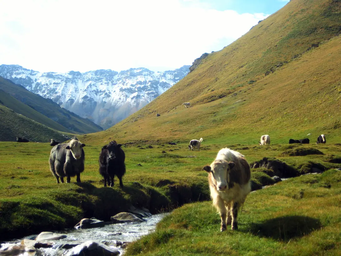 Chatyr-Kul Hike