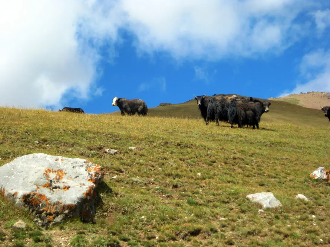 Chatyr-Kul Hike