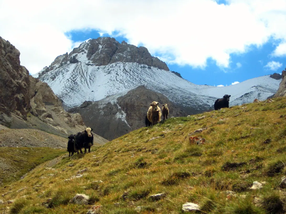 Chatyr-Kul Hike