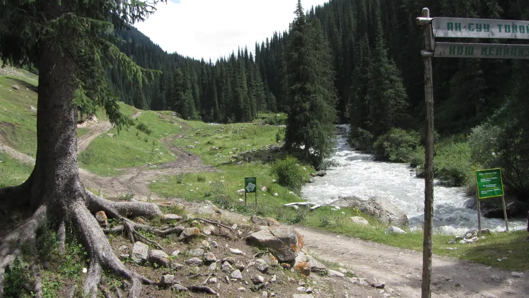 Altyn Arashan Bike Tour
