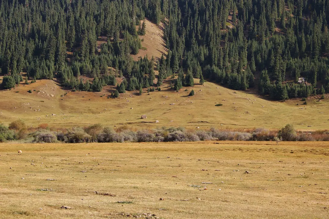 Ancient Silk Road in Djukku Valley