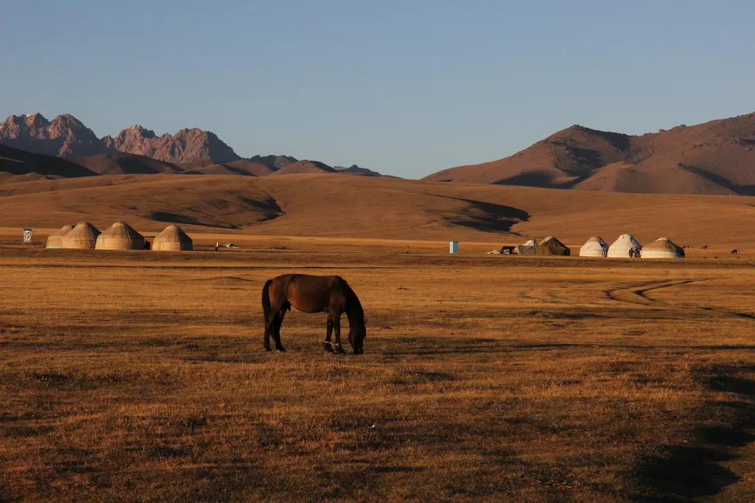 Yurt camp roza Son Kul