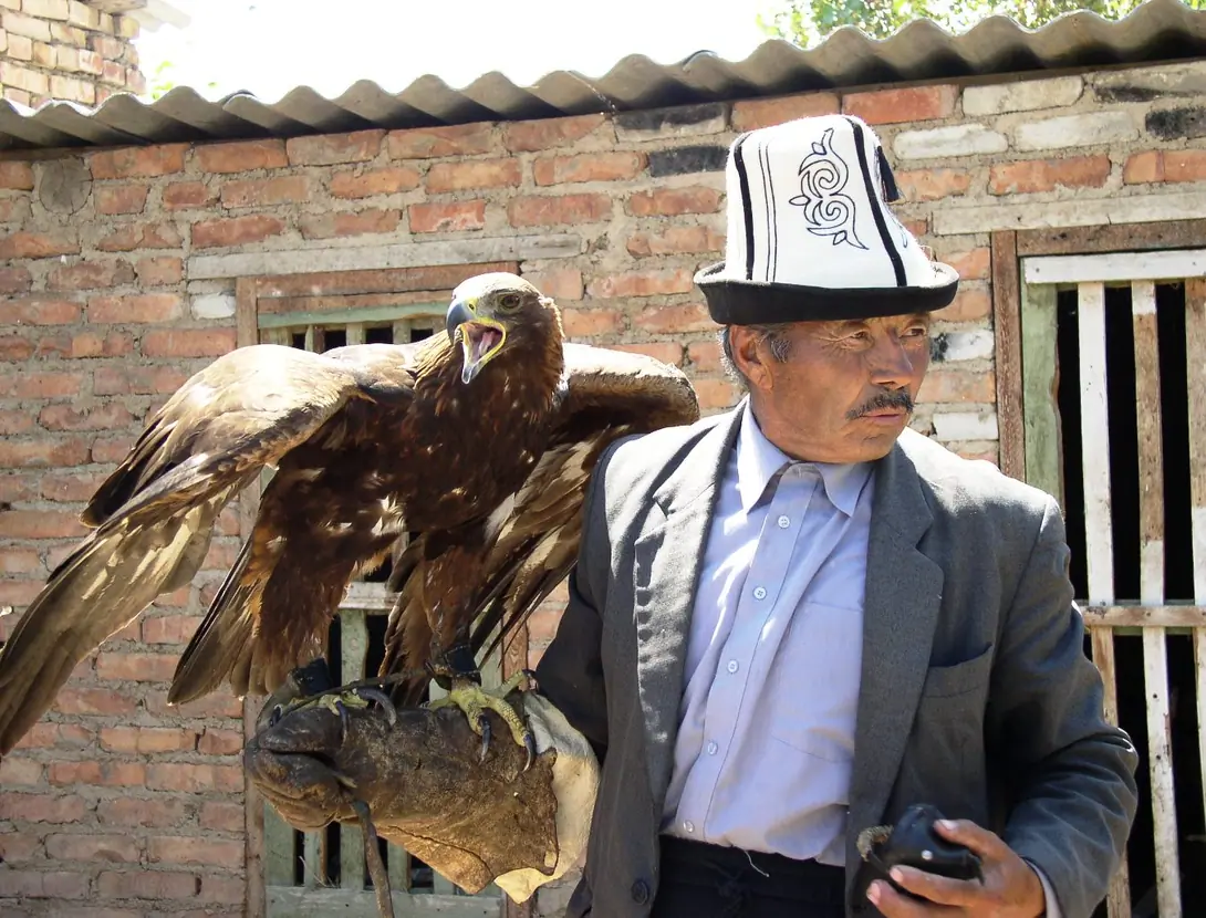 Sagimbay Bokonbaeva birds of prey