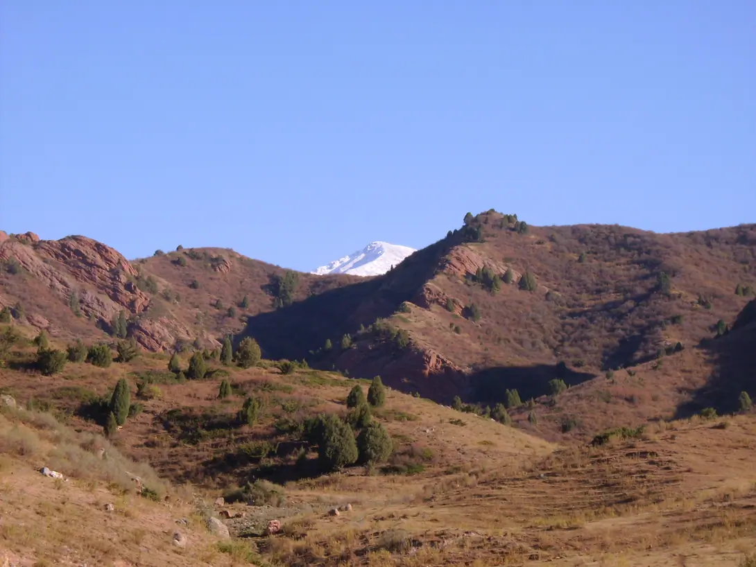 Shamsi gorge
