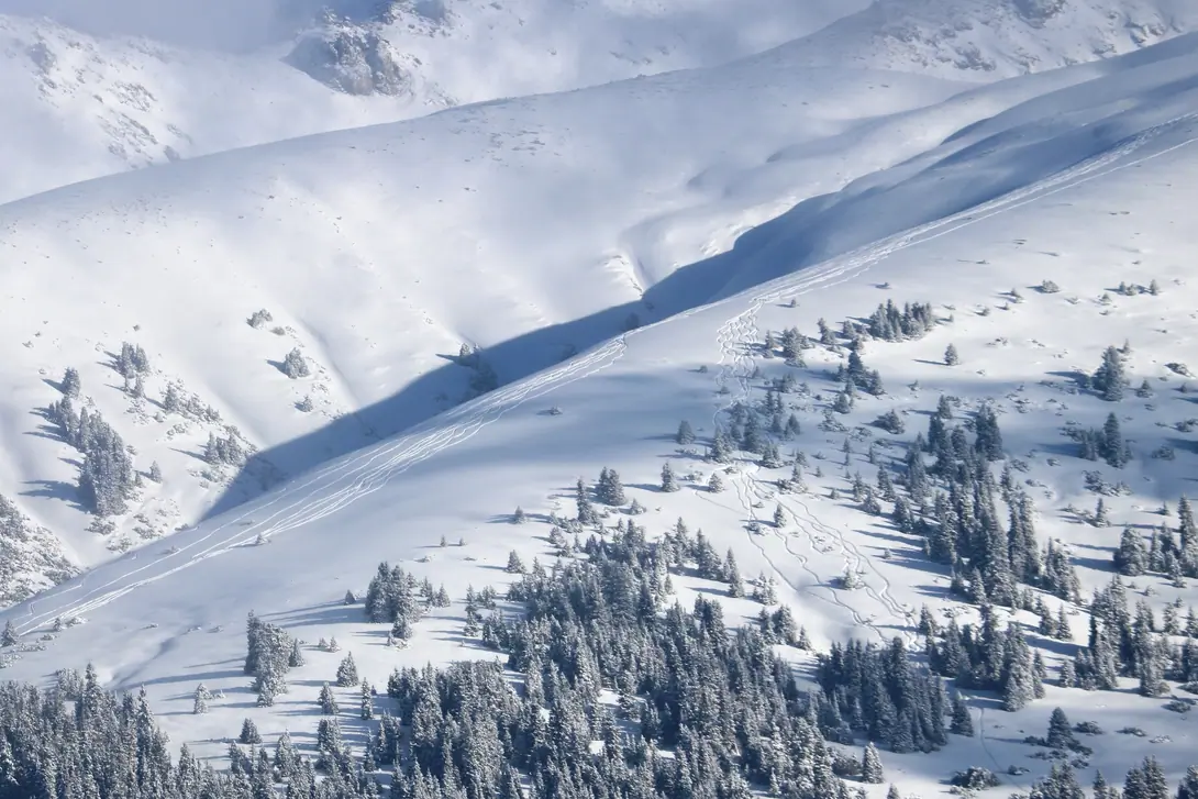 Siuttu Bulak meadows