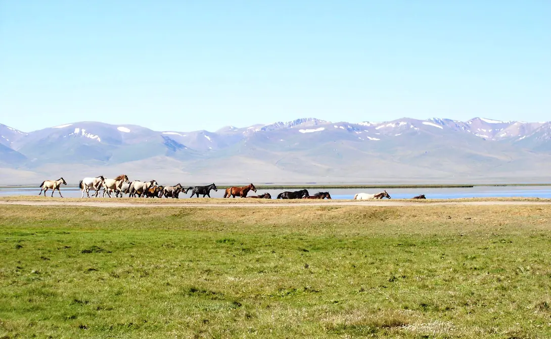 Song Kul's lake and range