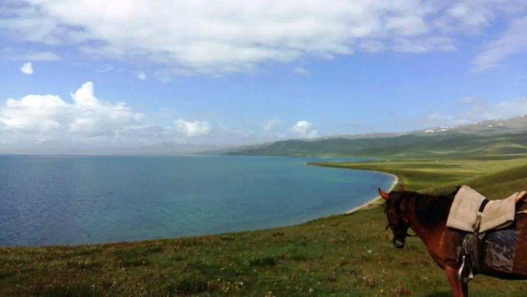 Horseride on North shore of Song Kul lake