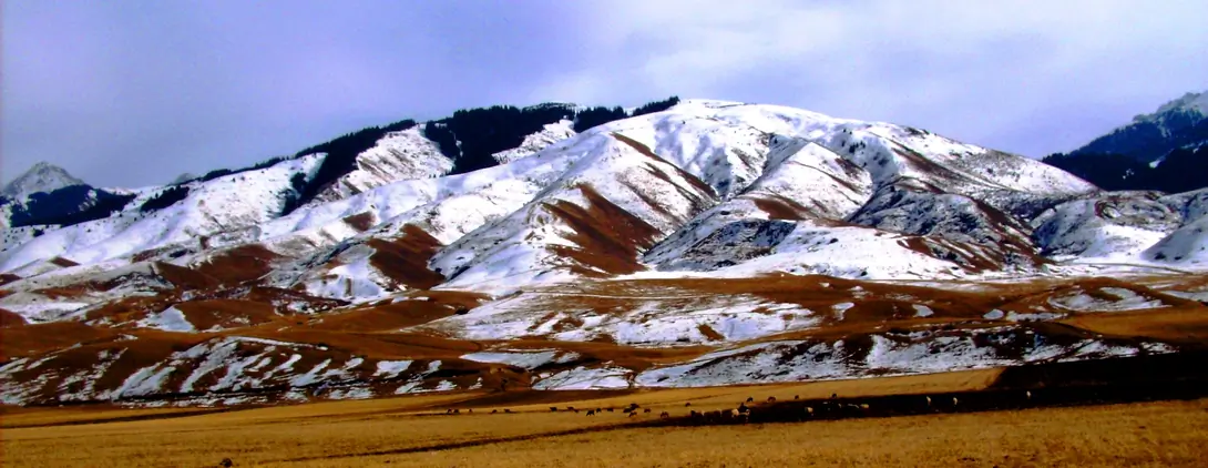 Chong Kemin winter